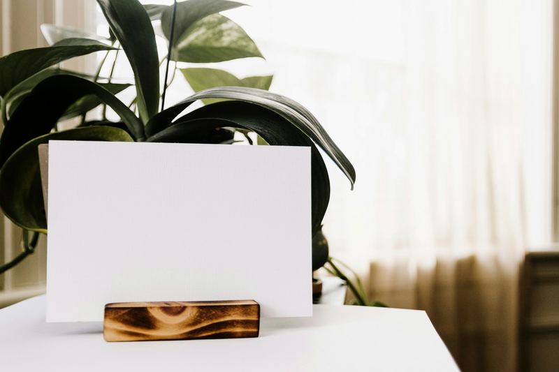 A blank white card standing in a wooden holder on a table in front of a leafy plant, with a sample QR code added on top.